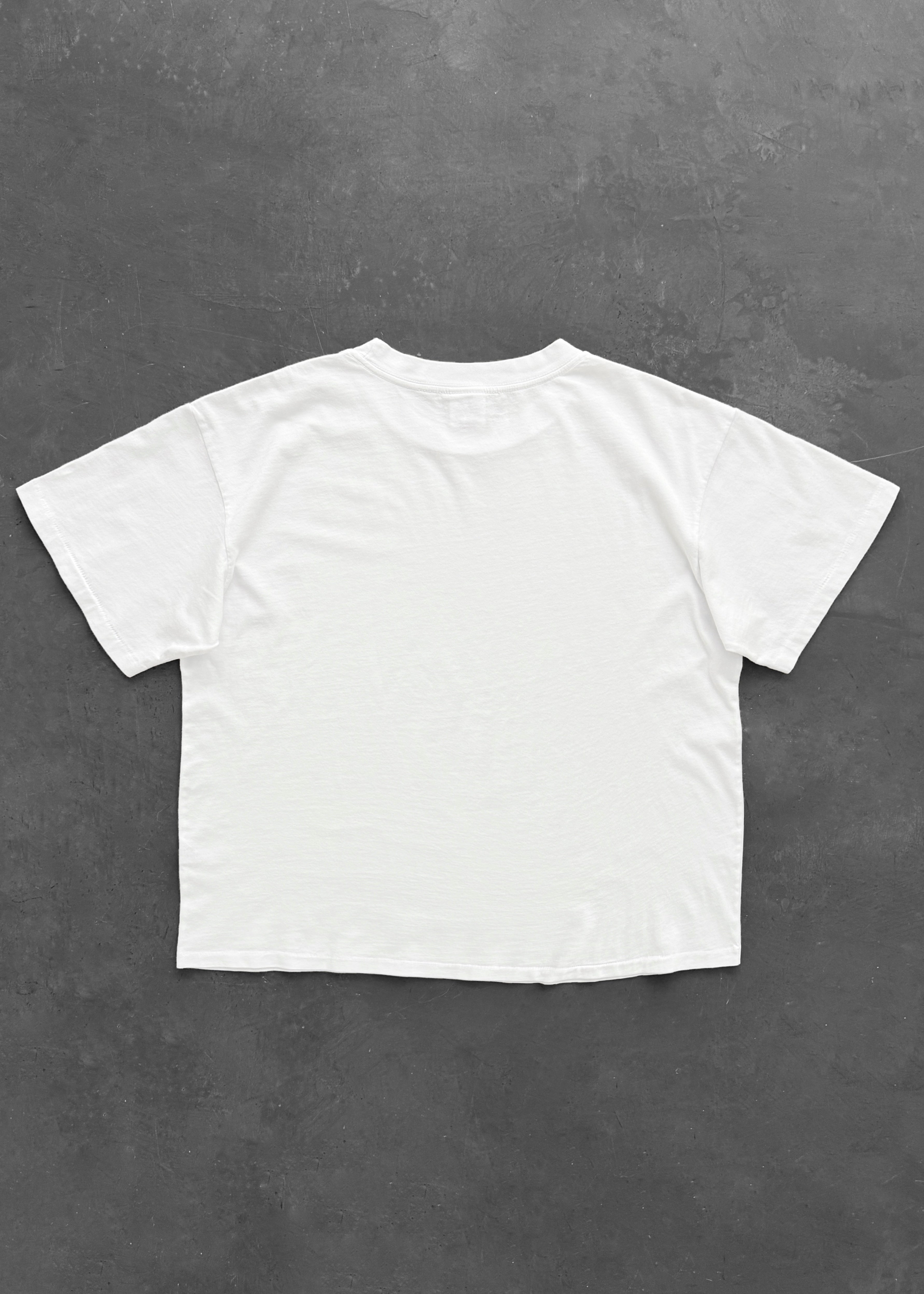 “CHAIN PEEKER” MID WEIGHT TEE - WHITE